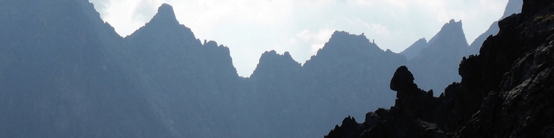 Kursy  - fot.naglowkowa