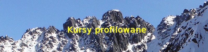 Kursy profilowane - fot.naglowkowa
